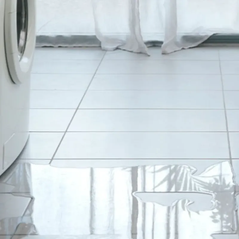 Appliance Leak Cleanup in Holderness, NH