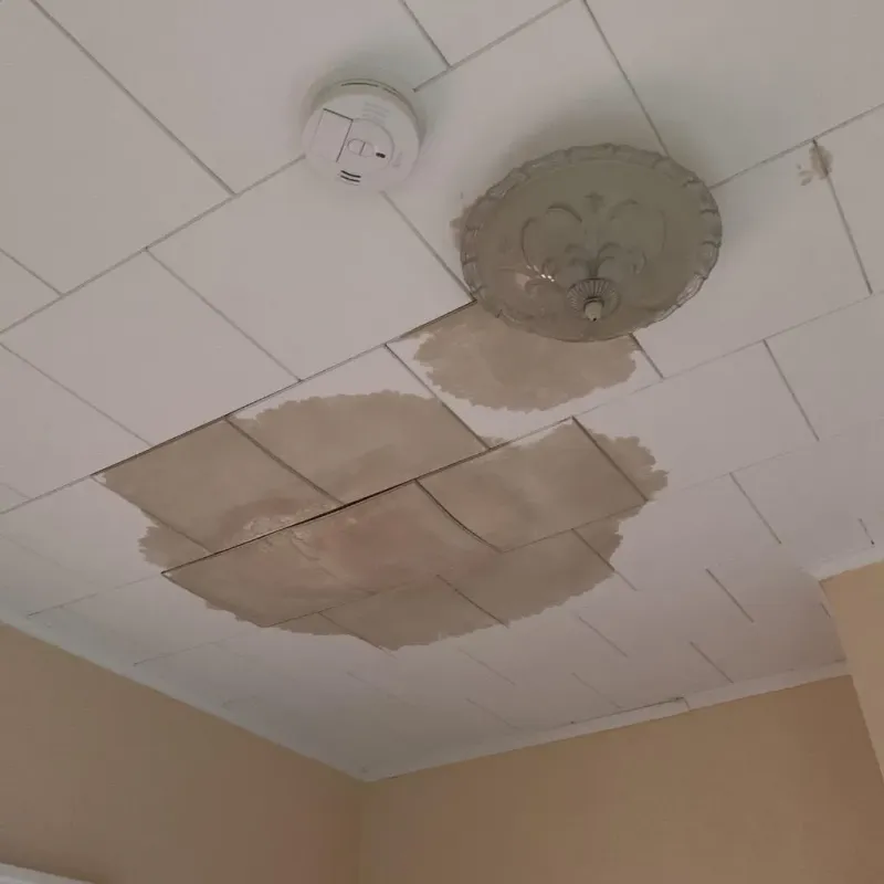 Ceiling Water Damage Repair in Holderness, NH