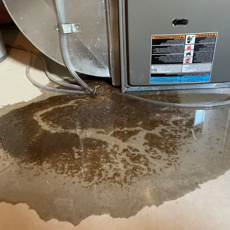 Pipe Burst and Leak Restoration in Holderness, NH